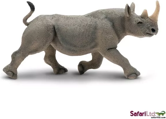 Zweihornnashorn