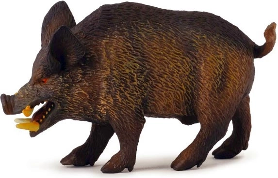 Wildschwein-Eber