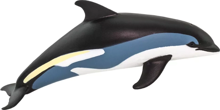 Figur der Weißseitigen Delfin (Lagenorhynchus acutus) von Safari Ltd. – 1 Stück