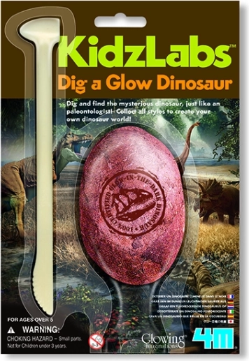 4M Leuchtendes Dinosaurierskelett