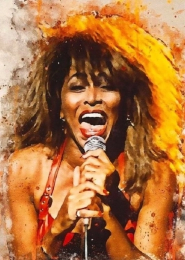 Norimpex Malen nach Zahlen Tina Turner singt 40 × 50 cm