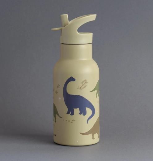 A Little Lovely Company Edelstahl-Trinkflasche mit Dinosauriern, 350 ml