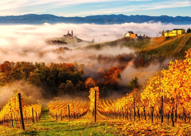 Enjoy Puzzle Im Weinberg 1000 Teile