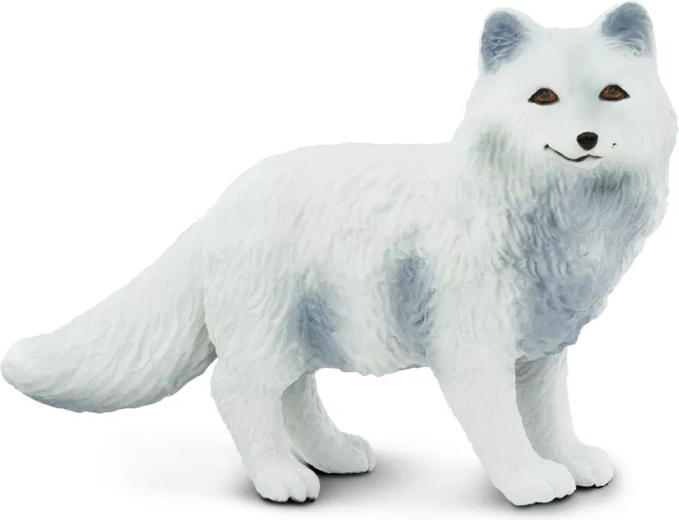 Polarfuchs Safari Ltd. - 1 Stück