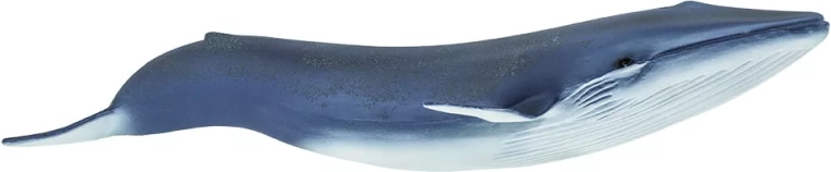 Safari Ltd. Figur Blauschwal (Blauwal)