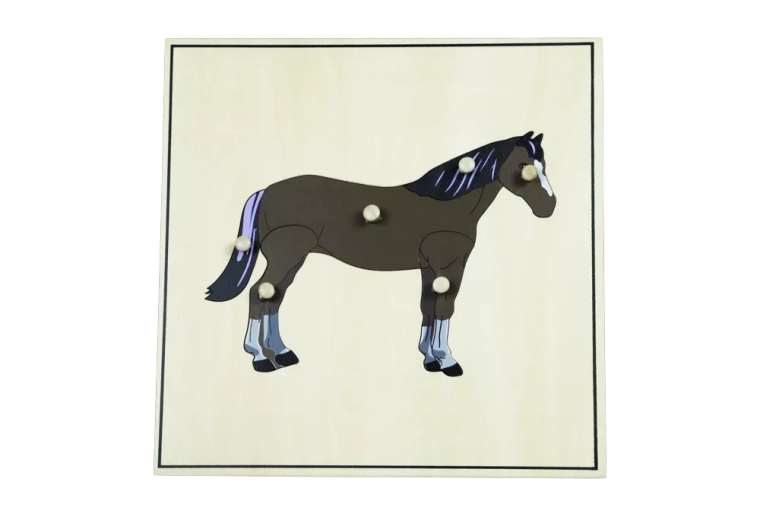 Puzzle mit Skelettpferd – Pferd