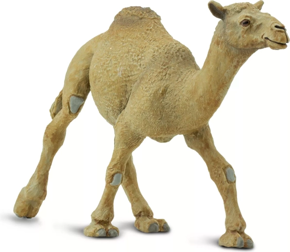 Safari Ltd. Dromedar-Figur – 1 Stück
