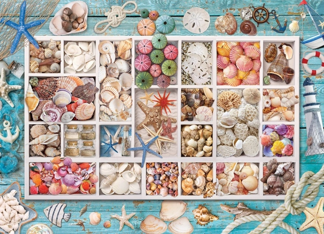 Puzzle EUROGRAPHICS Lauras Muschelsammlung – 1000 Teile