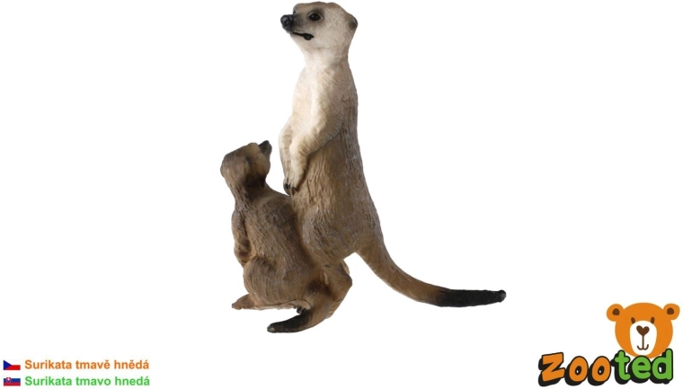 Erdmännchen mit Jungtier, dunkelbraun