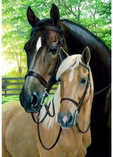 Bild zum Malen nach Zahlen auf Keilrahmen 40 × 50 cm – Pferde