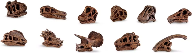 Safari Ltd. Dinosaurierschädel – Set mini Repliken