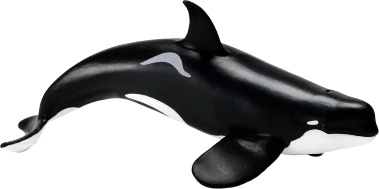 Safari Ltd. Figur Kosatka (Typ D)