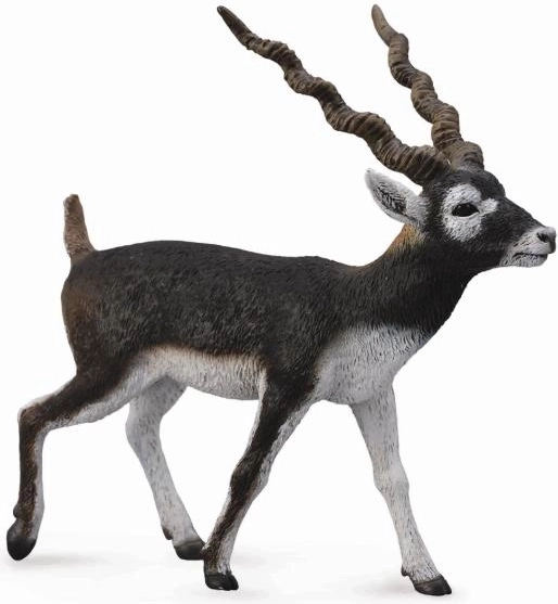 COLLECTA Kunststofffigur Hirschziegenantilope