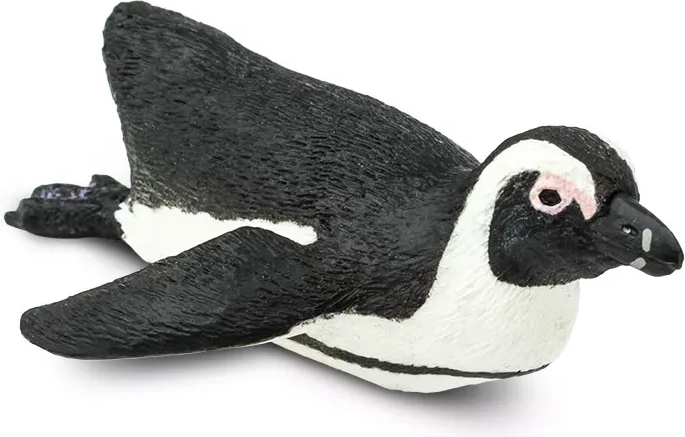 Brillenpinguin Safari Ltd. – 1 Stück