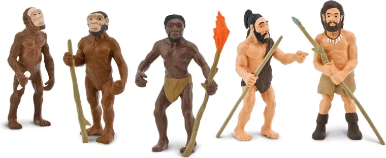 Safari Ltd. Entwicklung des Menschen – Set mit 5 handbemalten Figuren
