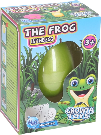 Ei mit wachsendem Frosch 6,5 cm