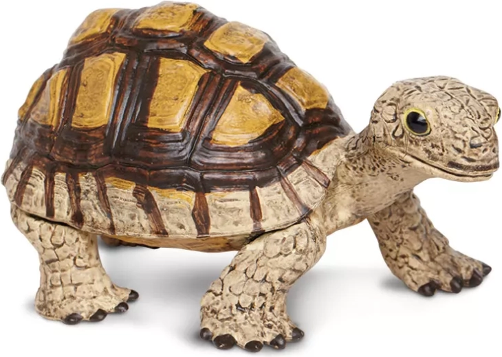 Junge Schildkröte Safari Ltd.