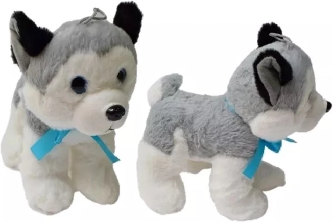 Plüsch-Husky mittelgroß 20 cm