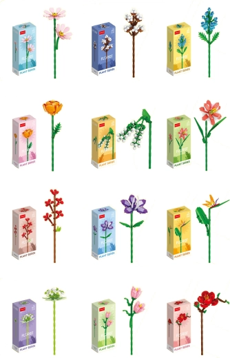 Florist bunte Sommer- und Wiesenblumen (12 Arten)