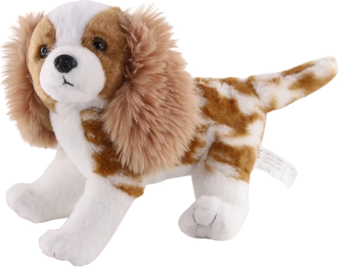 Plüschhund Cavalier King Charles Spaniel 26 cm