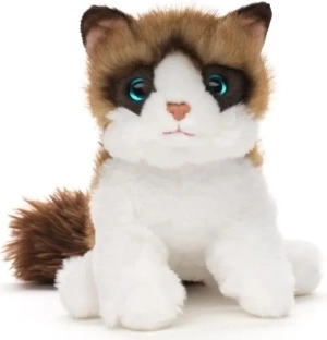 Plüschkatze Ragdoll 18 cm