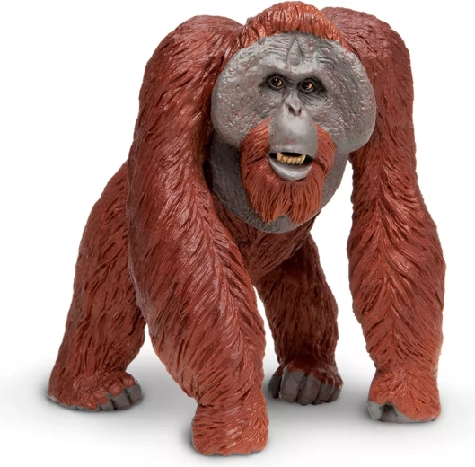Figur eines Borneo-Orang-Utans Safari Ltd.