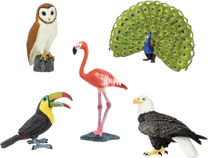 Safari Ltd. Vogelfiguren – 1 Stück