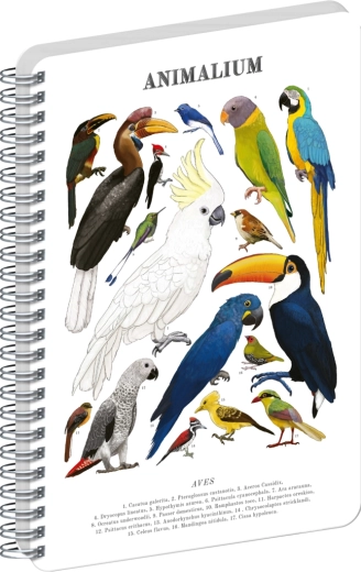 Notique Spiralblock Animalium Vögel blanko A5