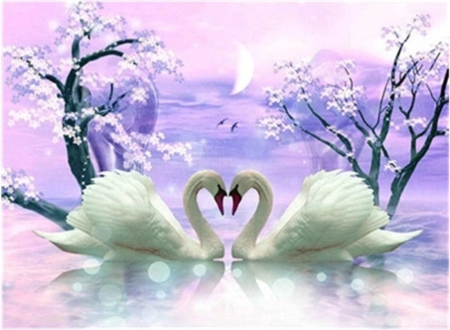 Diamantmalerei Schwanenliebe 30 × 40 cm