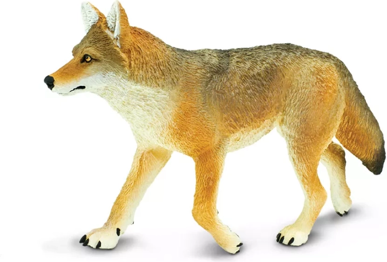 Safari Ltd. Kojote-Figur – 1 Stück
