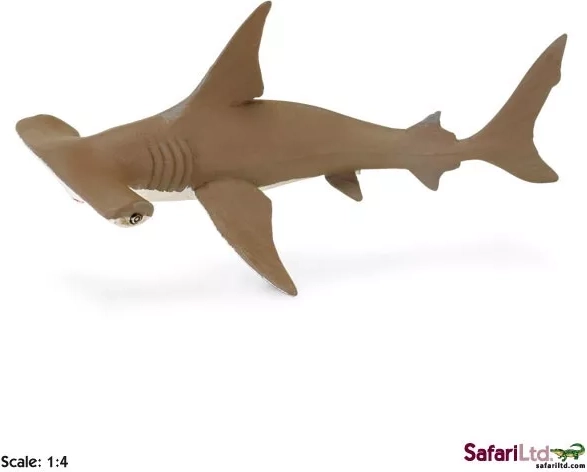 Safari Ltd. Jungtier des Bronze-Hammerhais