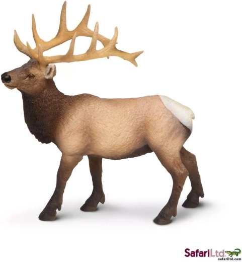 Safari Ltd. Wapiti (westlich) Figur