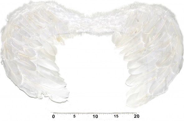 Engelsflügel für Kostüm