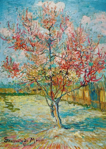 Puzzle Bluebird Rosa Pfirsiche 1000 Teile