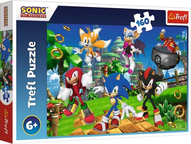 Puzzle Sonic und Freunde 160 Teile