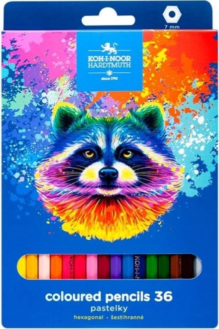 Sechskant-Buntstifte Waschbär 36 Stk.