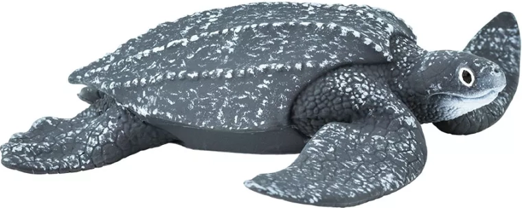 Lederschildkröte Safari Ltd. – 1 Stück