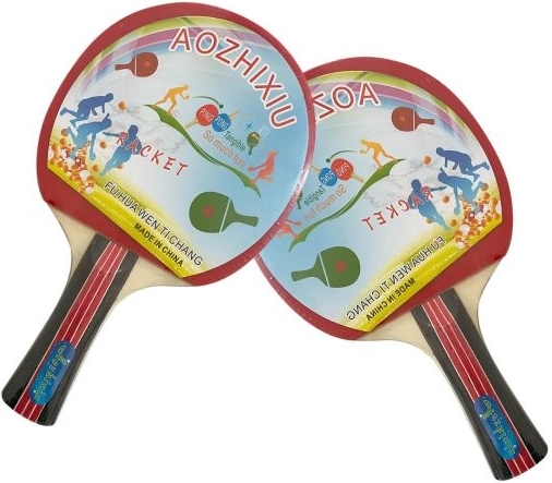 Tischtennis-Set