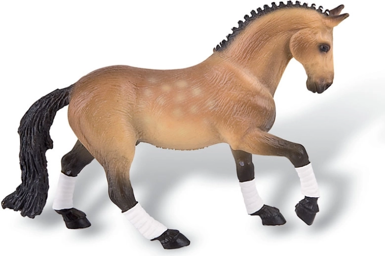 Trakehner Wallach