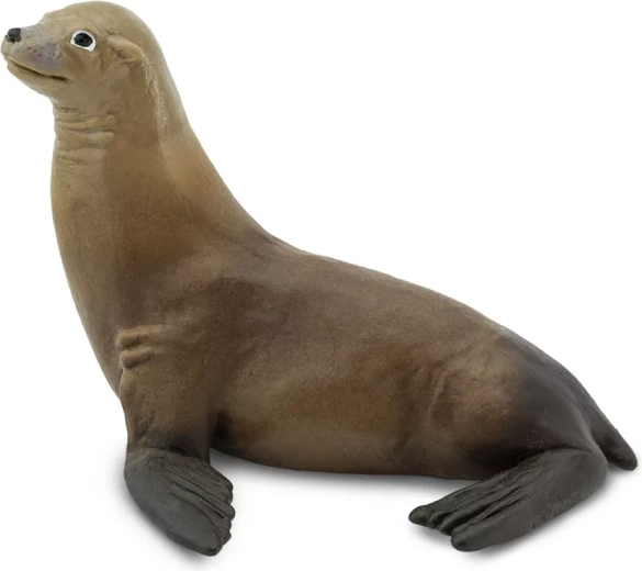 Seelöwe Safari Ltd. - 1 Stück