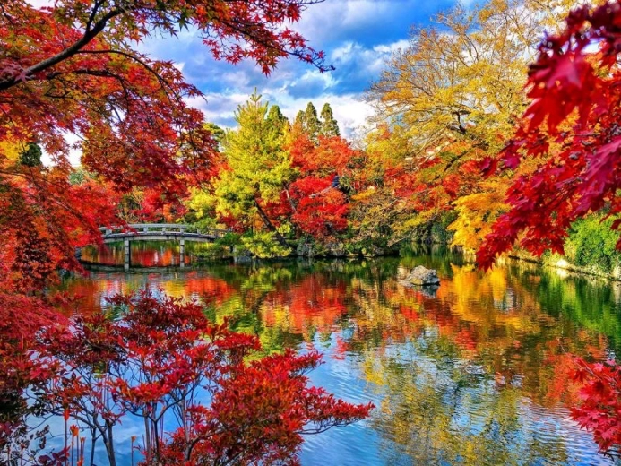 Diamantmalerei Park im Herbst 40 × 30 cm