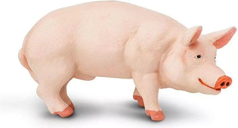 Figur Ferkel (Hausschwein) Safari Ltd.