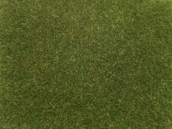 NOCH statisches Gras hellgrün 4 mm