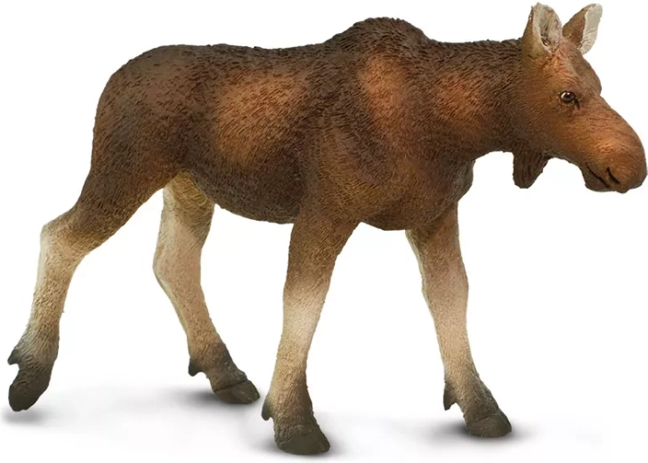 Safari Ltd. Figur Elchkuh (Europäischer Elch) – 1 Stück