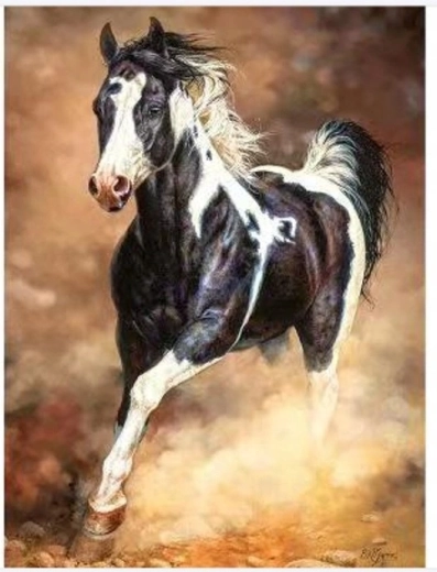 Norimpex Malen nach Zahlen – Pferd im Galopp im Sand 40 × 50 cm