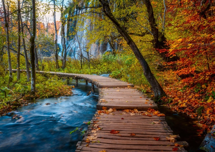 Ravensburger Puzzle Geheimnisvoller Wald, 1.000 Teile