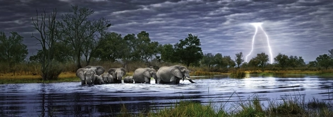 Panoramisches Puzzle Elefantenherde Botswana 2000 Teile