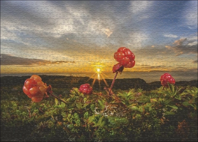 Puzzle Heye Brombeeren Lakka 1000 Teile