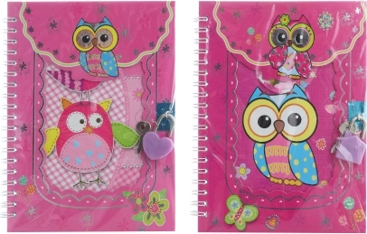 Notizbuch mit Schloss Eulen