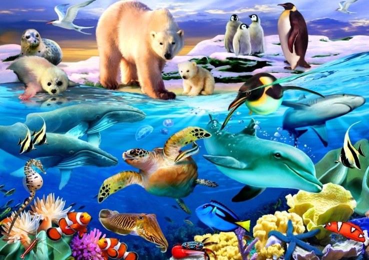 Bluebird Puzzle Ozean des Lebens 1000 Teile
